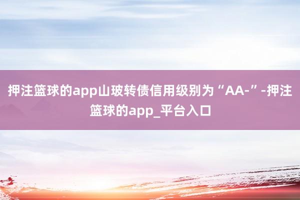 押注篮球的app山玻转债信用级别为“AA-”-押注篮球的app_平台入口