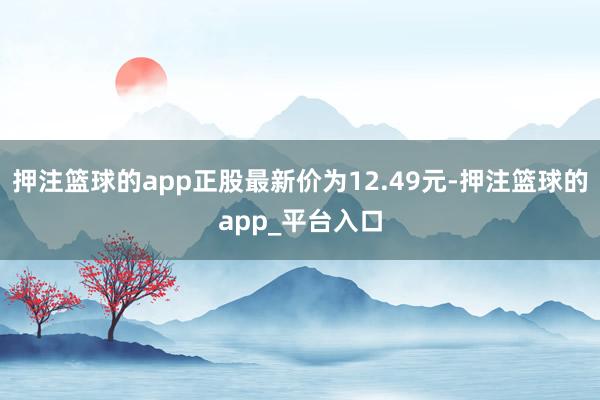 押注篮球的app正股最新价为12.49元-押注篮球的app_平台入口