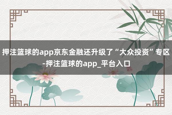 押注篮球的app京东金融还升级了“大众投资”专区-押注篮球的app_平台入口